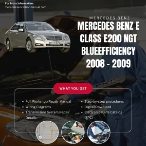 Mercedes-Benz E-Class E200 NGT BlueEfficiency 2008-2009 Workshop Manual Cover